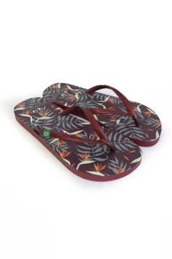 Chanclas De Playa Brasileras,printed Tropicolo,hecho En Brazil