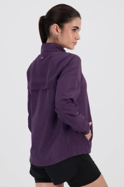 Cortaviento Ipso