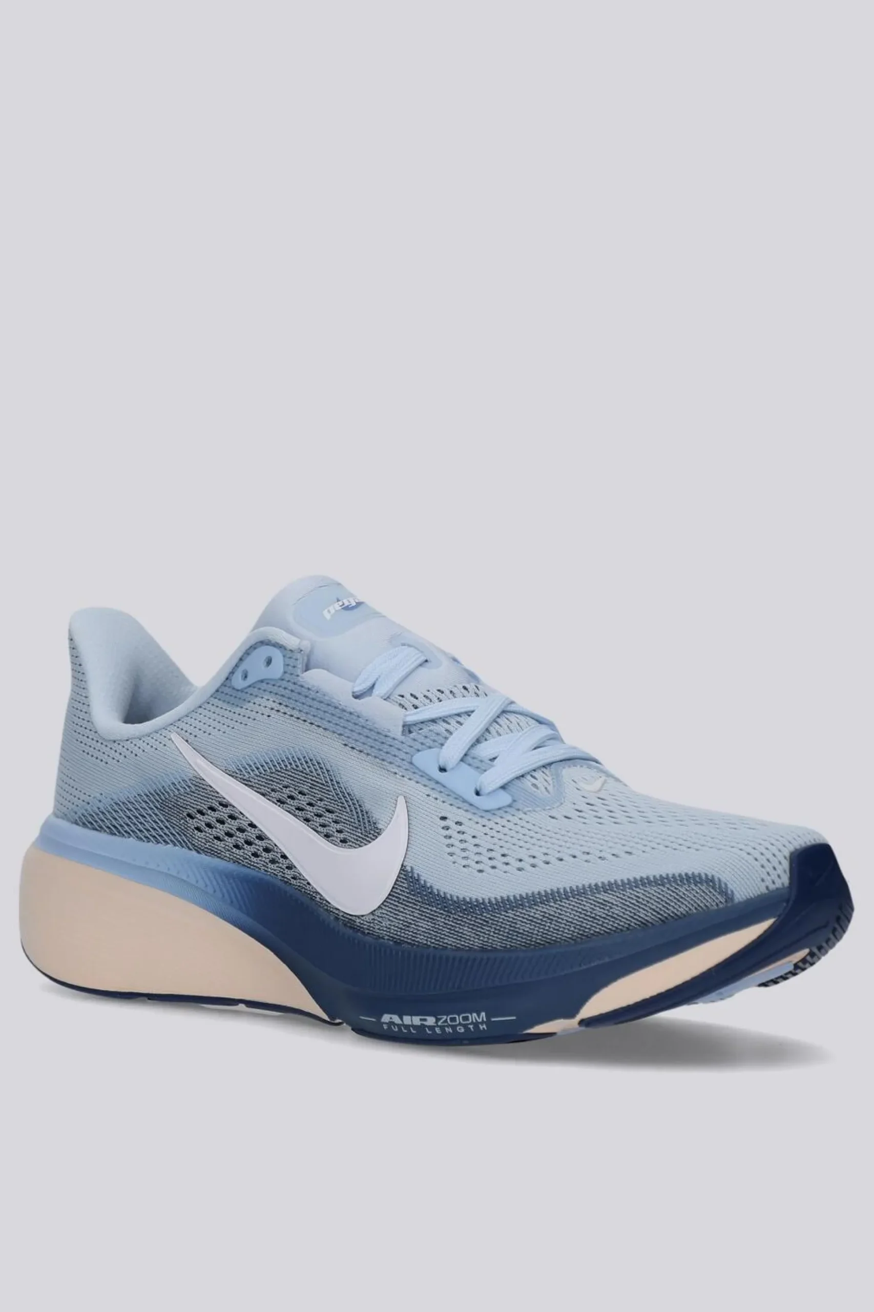 Nike Pegasus 42