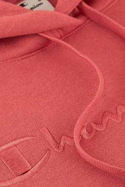 Sudadera Con Capucha Champion