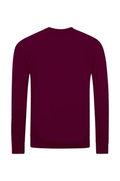 Sudadera Con Mangas Raglan Awdis Academy
